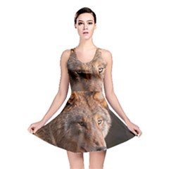 Reversible Skater Dress 