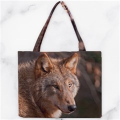Mini Tote Bag 