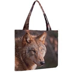 Mini Tote Bag 