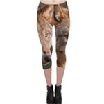 Wolf Capri Leggings 