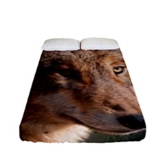 Fitted Sheet (Full/ Double Size) 
