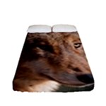 Wolf Fitted Sheet (Full/ Double Size)