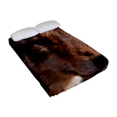 Fitted Sheet (Full/ Double Size) 