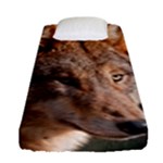 Wolf Fitted Sheet (Single Size)