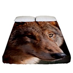 Fitted Sheet (Queen Size) 