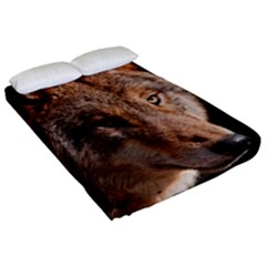 Fitted Sheet (Queen Size) 