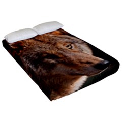 Fitted Sheet (California King Size) 