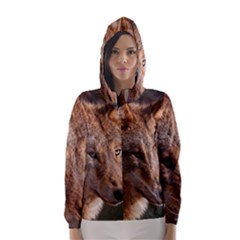 Women s Hooded Windbreaker 