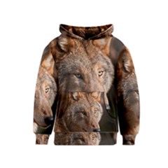 Kids  Pullover Hoodie 