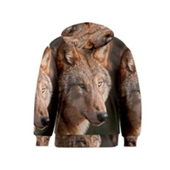 Kids  Pullover Hoodie 