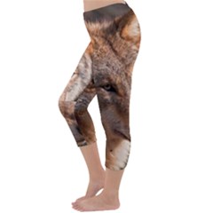 Capri Winter Leggings Back Capri Winter Leggings Back