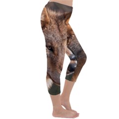 Capri Winter Leggings  