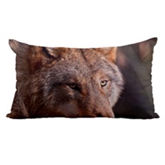 22 x14  Lumbar Throw Cushion Case (Two Sides) 