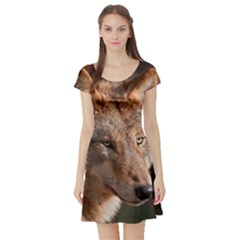 Short Sleeve Skater Dress Front Short Sleeve Skater Dress Front