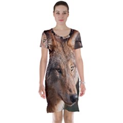 Short Sleeve Nightdress 