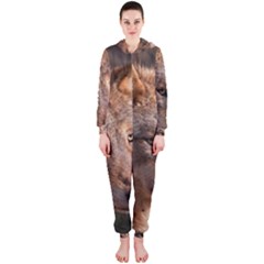 Hooded Jumpsuit (Ladies) 