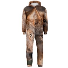Hooded Jumpsuit (Men) 