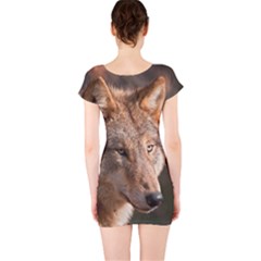 Short Sleeve Bodycon Dress Back Short Sleeve Bodycon Dress Back