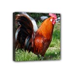 Rooster Mini Canvas 4  x 4  (Stretched)