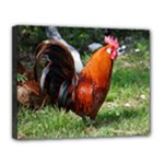 Rooster Canvas 14  x 11  (Stretched)