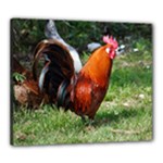 Rooster Canvas 24  x 20  (Stretched)