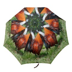 Folding Umbrella 