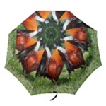 Rooster Folding Umbrella