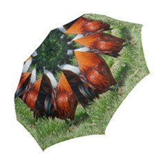 Folding Umbrella 