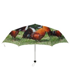 Folding Umbrella 