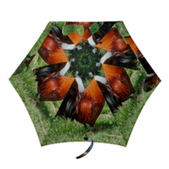 Mini Folding Umbrella 