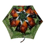 Rooster Mini Folding Umbrella