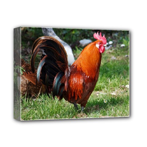 Rooster Deluxe Canvas 14  x 11  (Stretched) from ArtsNow.com