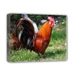 Rooster Deluxe Canvas 14  x 11  (Stretched)