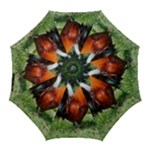 Rooster Golf Umbrella