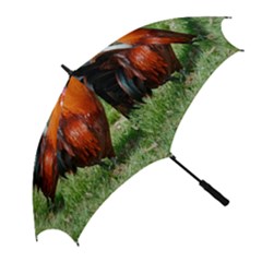 Golf Umbrella 