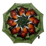 Rooster Hook Handle Umbrella (Large)