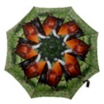 Rooster Hook Handle Umbrella (Small)