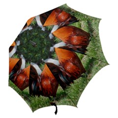 Hook Handle Umbrella (Small) 