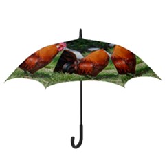 Hook Handle Umbrella (Small) 