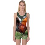Rooster One Piece Boyleg Swimsuit