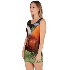 Bodycon Dress 