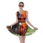 Rooster Skater Dress