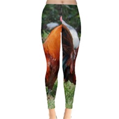 Everyday Leggings  Front