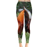 Rooster Leggings 