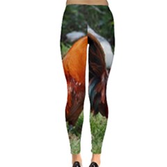 Everyday Leggings  Back