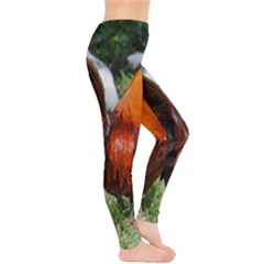 Everyday Leggings  