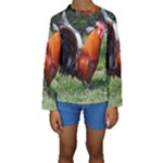 Rooster Kids  Long Sleeve Swimwear