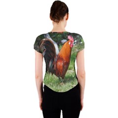 Crew Neck Crop Top 