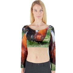 Long Sleeve Crop Top 