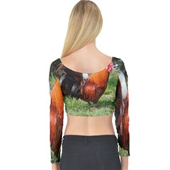 Long Sleeve Crop Top 